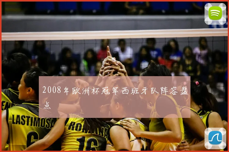 2008年欧洲杯冠军西班牙队阵容盘点
